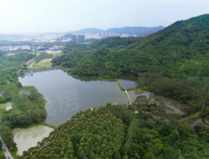 实地常春藤小区配套