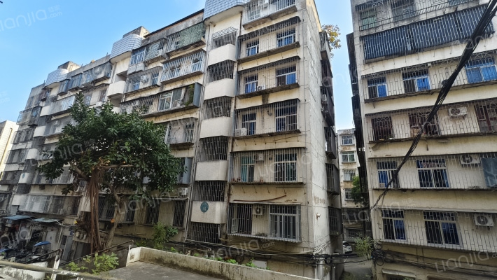 莲荷西路外景图