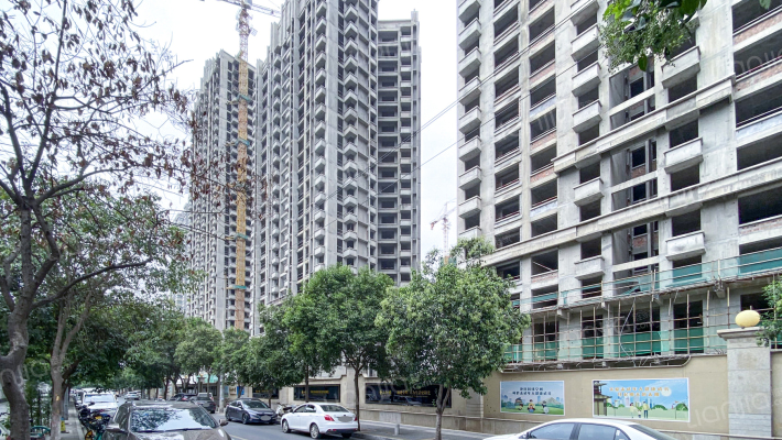 香山红叶外景图