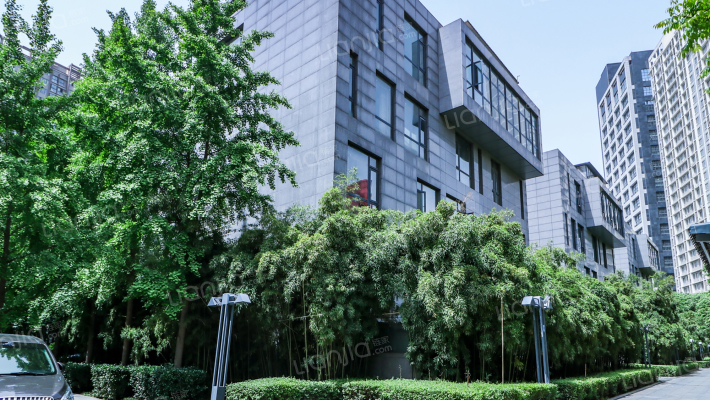 秦唐12栋外景图