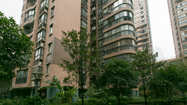 中心嘉园外景图