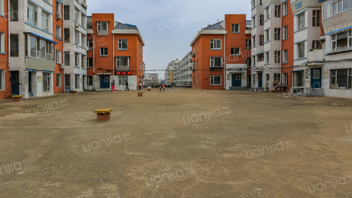 君子兰家园外景图