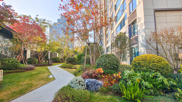 和悦东方外景图