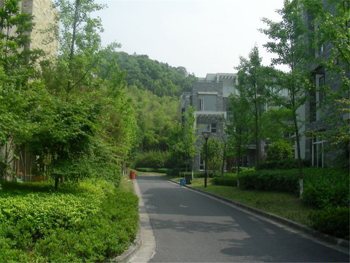 南岸花城小区实景 28