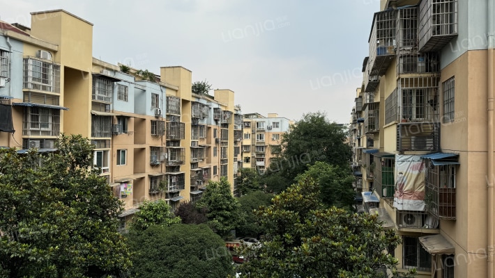 清源环街168号外景图