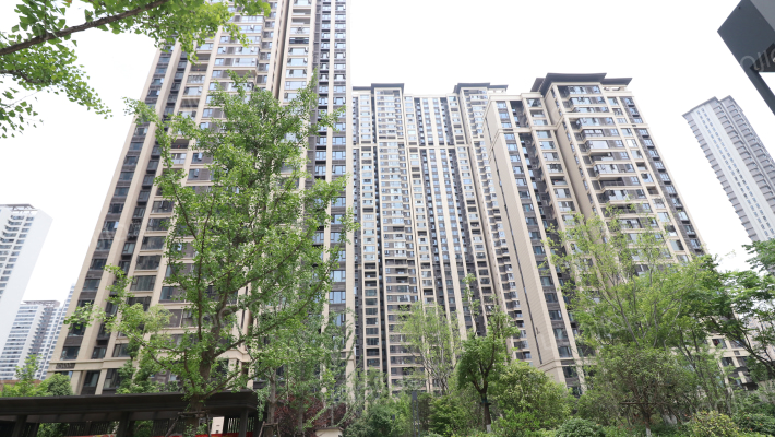 天汇龙城龙枫苑（七期）外景图