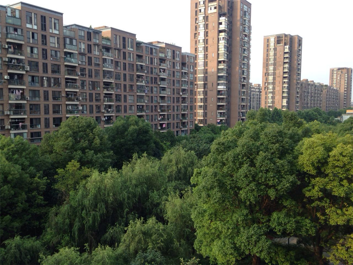 New Century City compound photo 8