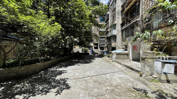 兴关路23号外景图