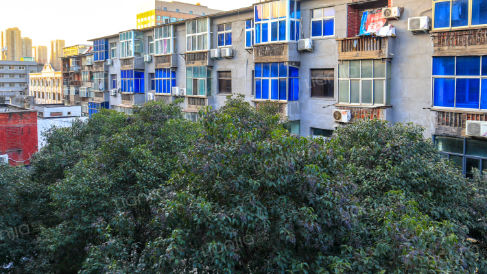 陇海中路61号外景图