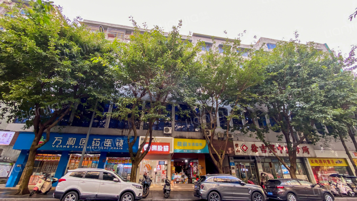 文星路55号外景图