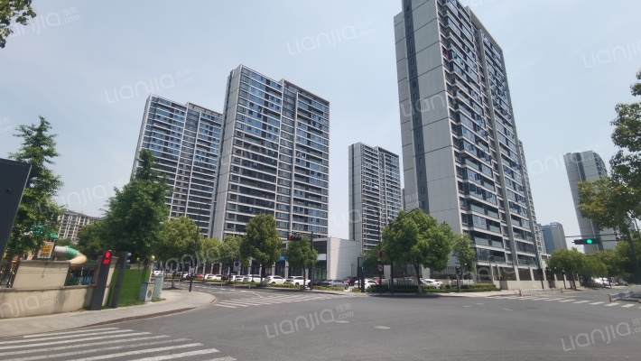 大华潮悦前城外景图