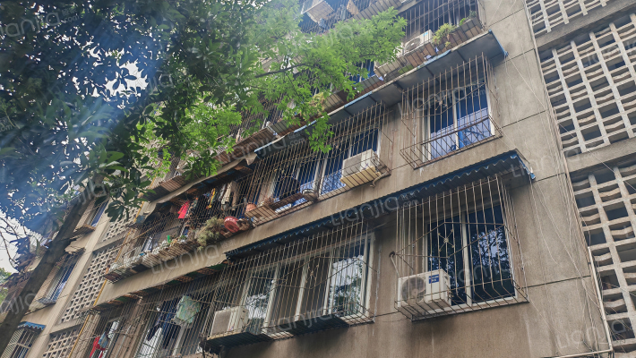 龙平路412号外景图