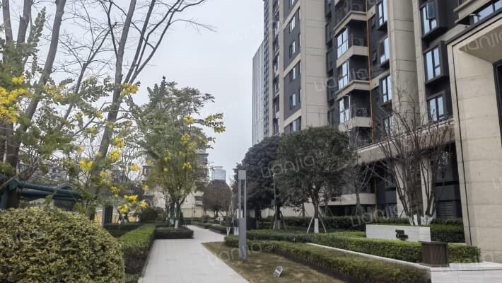 卓越云际外景图