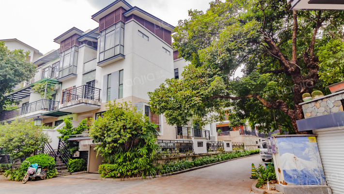 星河传说旗峰天下紫檀苑外景图