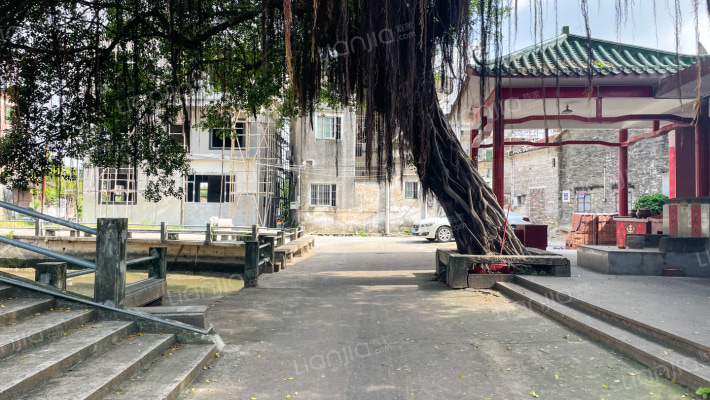 杏坛单家龙潭社区外景图