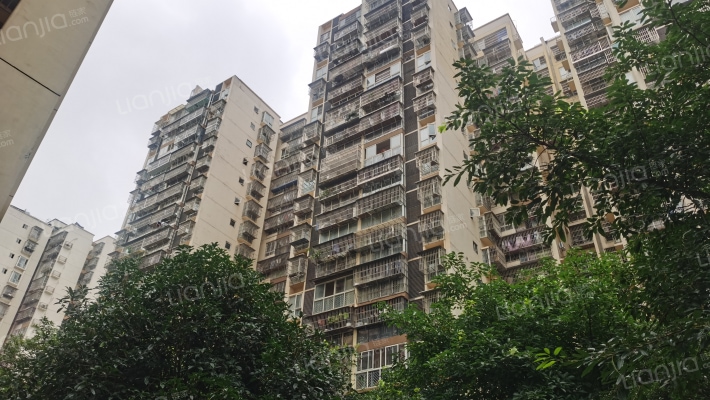 楠博苑五期外景图