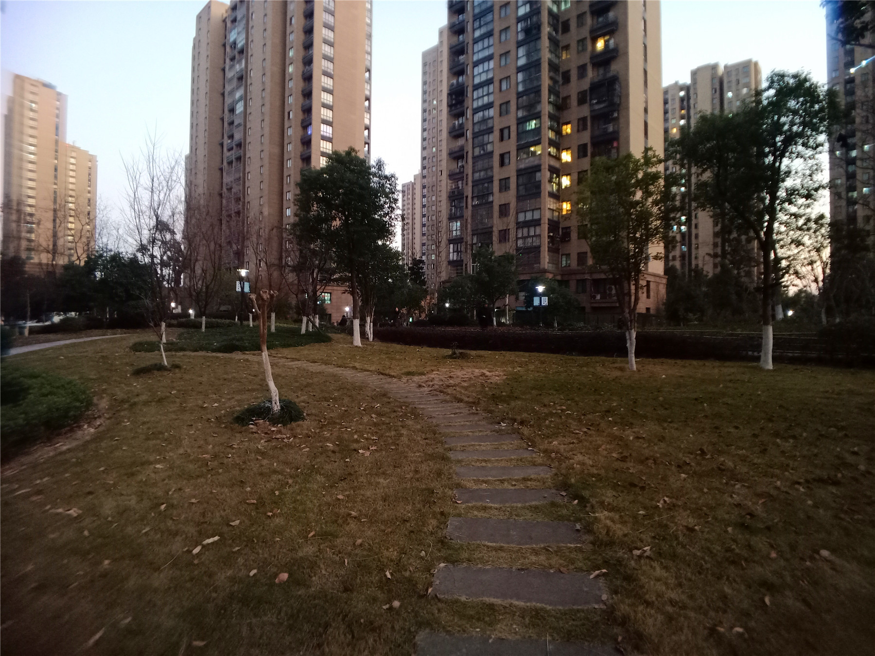 金星桃源居小区实景 8