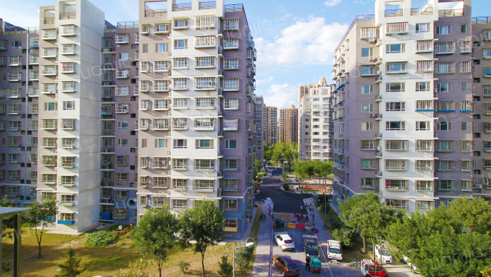 泰和宜园外景图