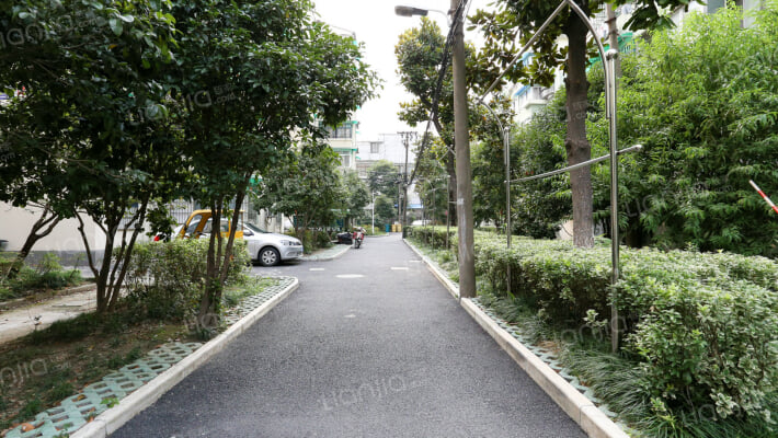 采荷绿萍外景图