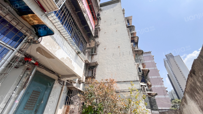 荷塘路9号外景图