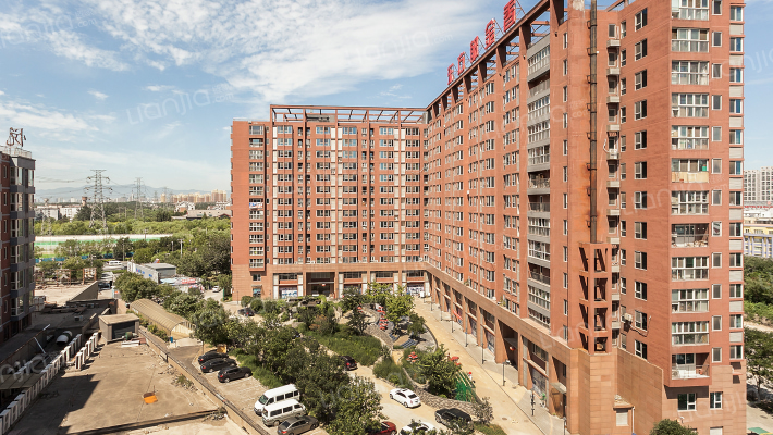 东方郁金香外景图