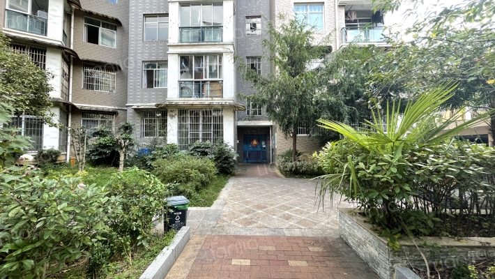 麒龙新天地外景图