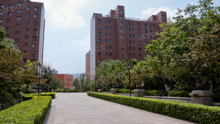 天泰太阳树外景图