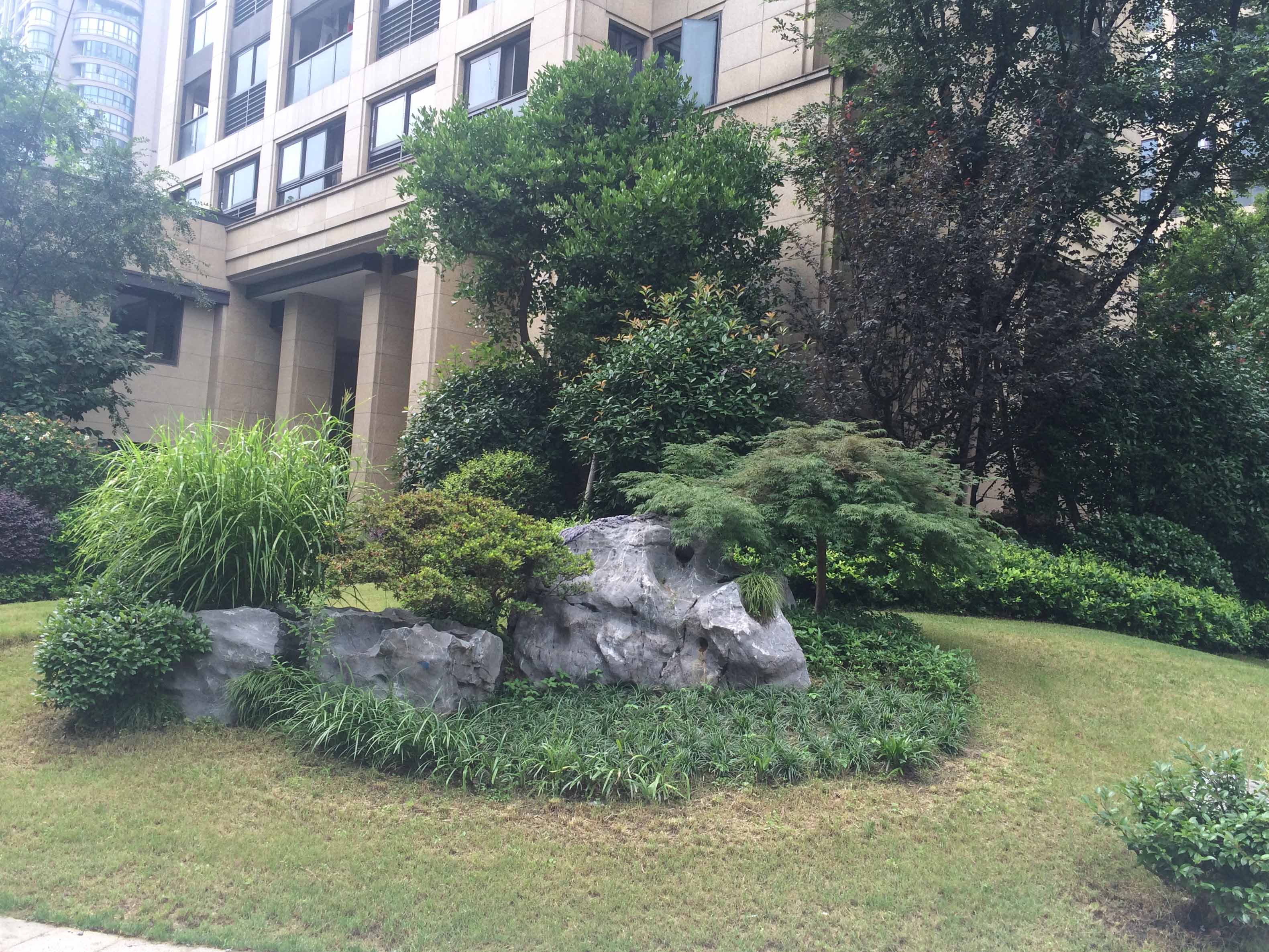江南望庄小区实景 13