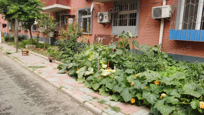 霞光里(宁河)外景图