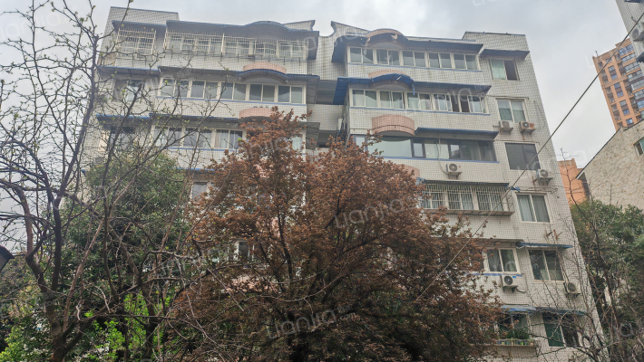 龙都南路125号外景图