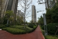 安泰名筑户型图实景图
