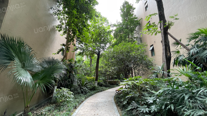 新界一期外景图