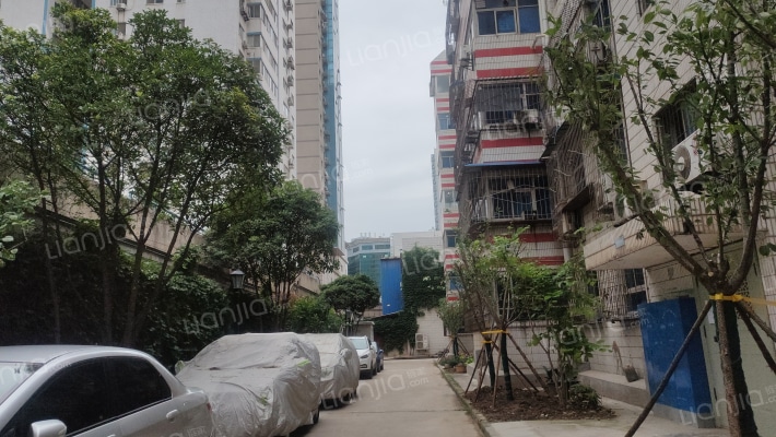 凤城一路5号外景图