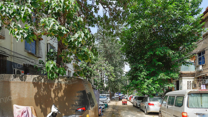 绿化西街外景图