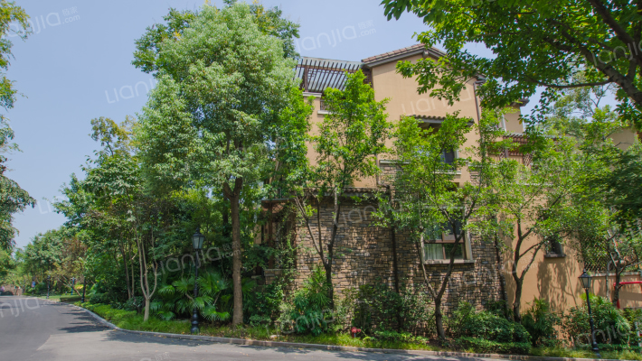 龙湖东桥郡六组团外景图