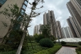 安泰名筑户型图实景图