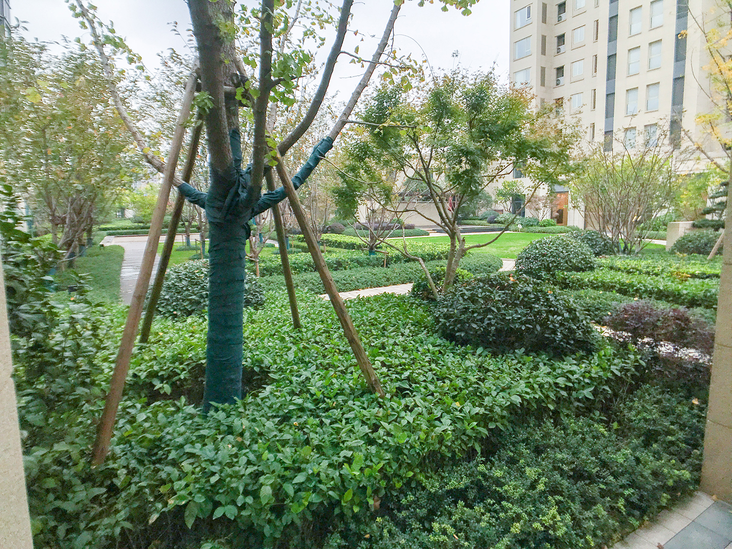 金茂万科新都会小区实景 9