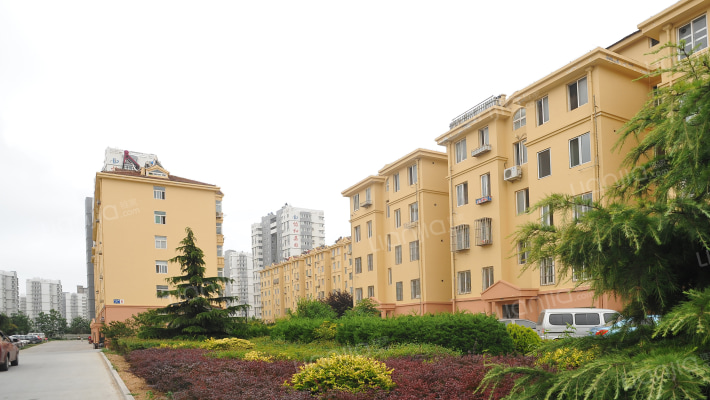 八一小区外景图