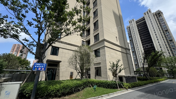 金辉悠步江来外景图