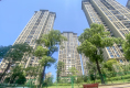 绿地西城国际花都户型图实景图