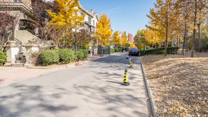 珠江萨尔斯郡外景图