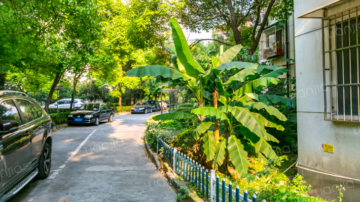 桂园公寓外景图