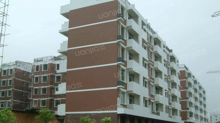 青乐苑D区外景图