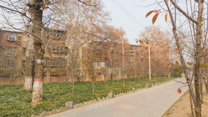 金水路78号院外景图