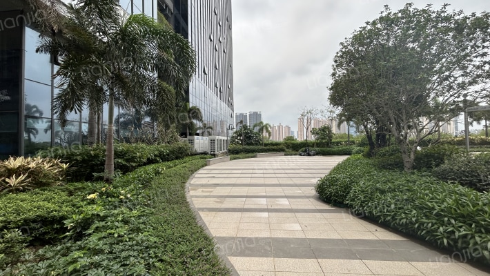 新能源科创中心外景图