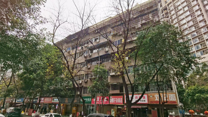 金沙路横街2号外景图