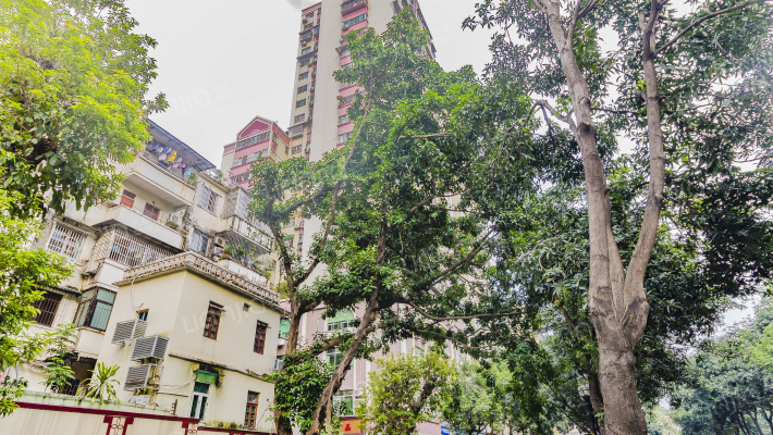 东山华丰大厦外景图