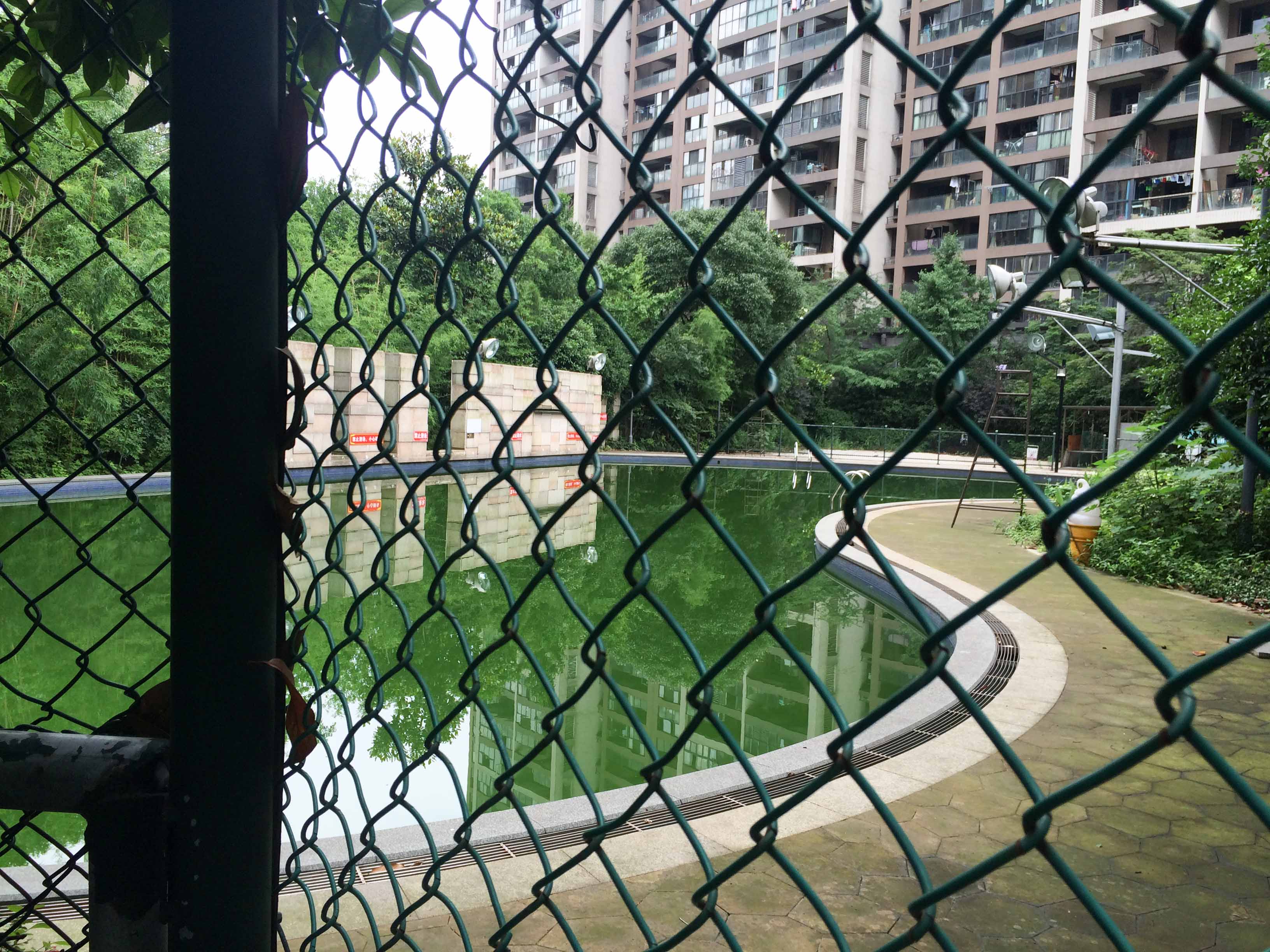 欣盛东方郡小区实景 13