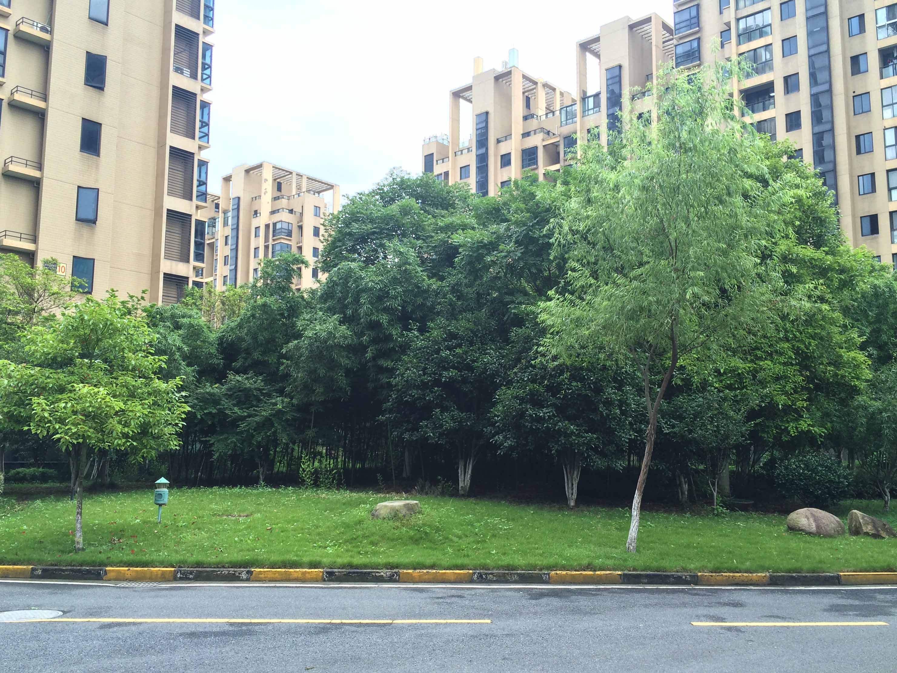 钱塘滨和花园小区实景 11