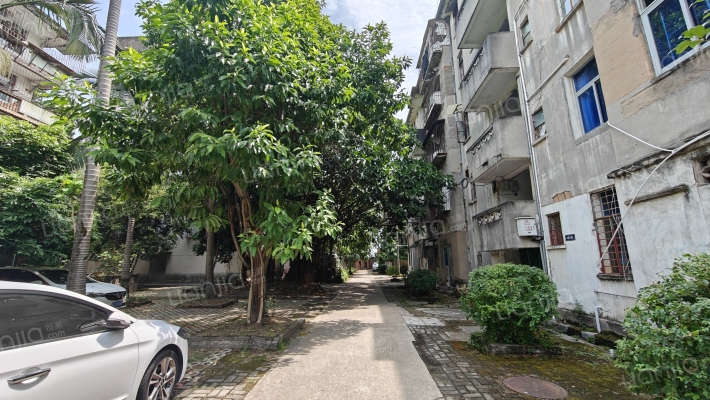 福建农林大学银杏苑外景图